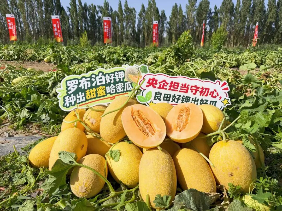 b82f7cb5b8636e59b86dcbee80603ef8
