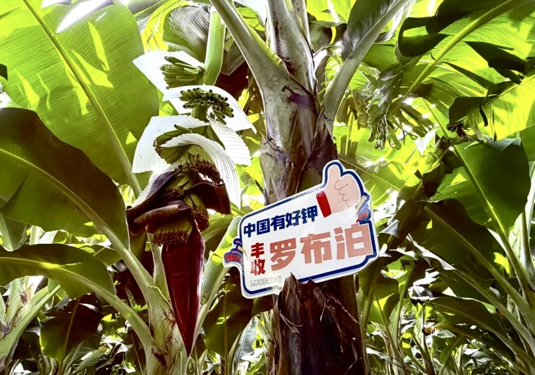 微信图片_20260618171144_9881_53