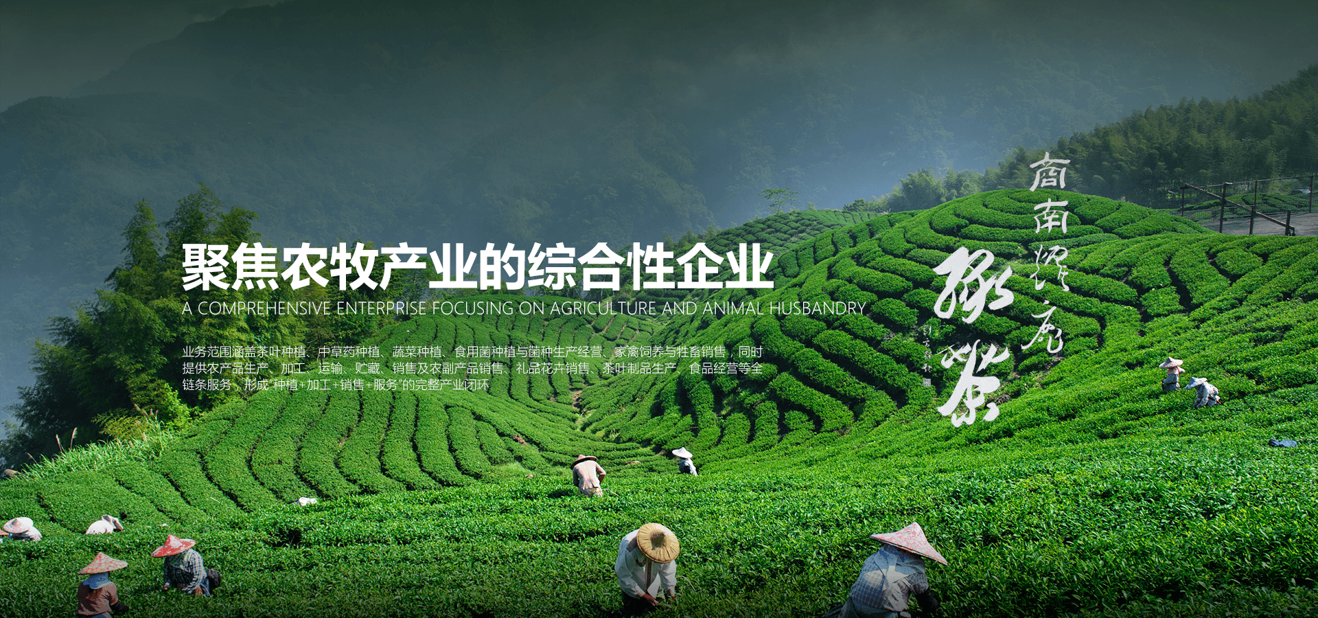 如图片无法显示，请刷新页面