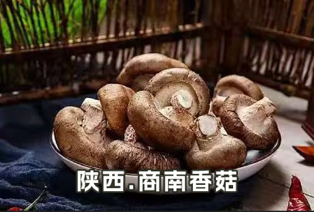 如图片无法显示，请刷新页面