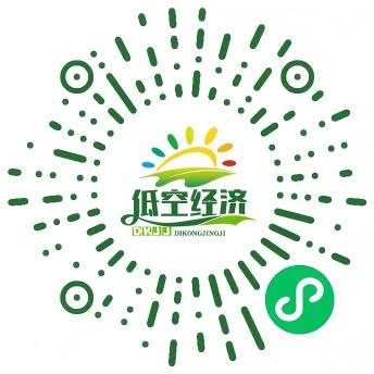 联合绿友智能低空